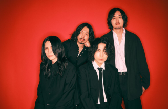 The Novembers